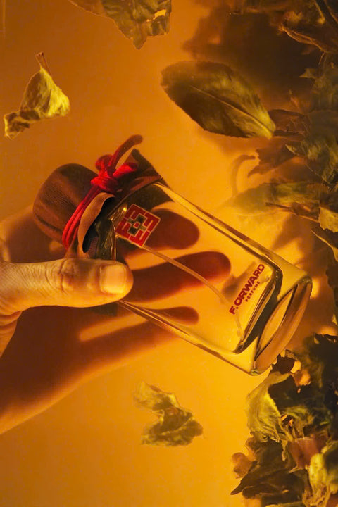 Oolong Of The Chamber Amber | Trà Mật Yên Vân