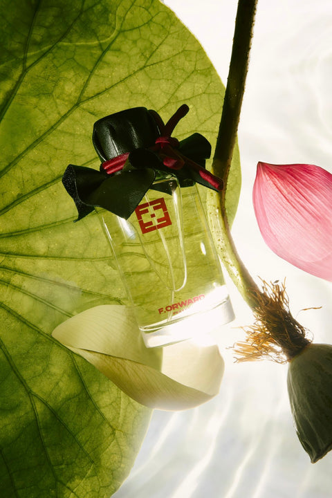 Veil Of The Lotus | Liên Hoa Yểm